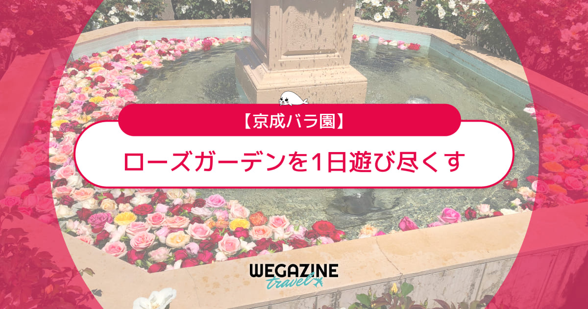 【京成バラ園】八千代市のローズガーデンを1日遊び尽くす<実体験おすすめコース>