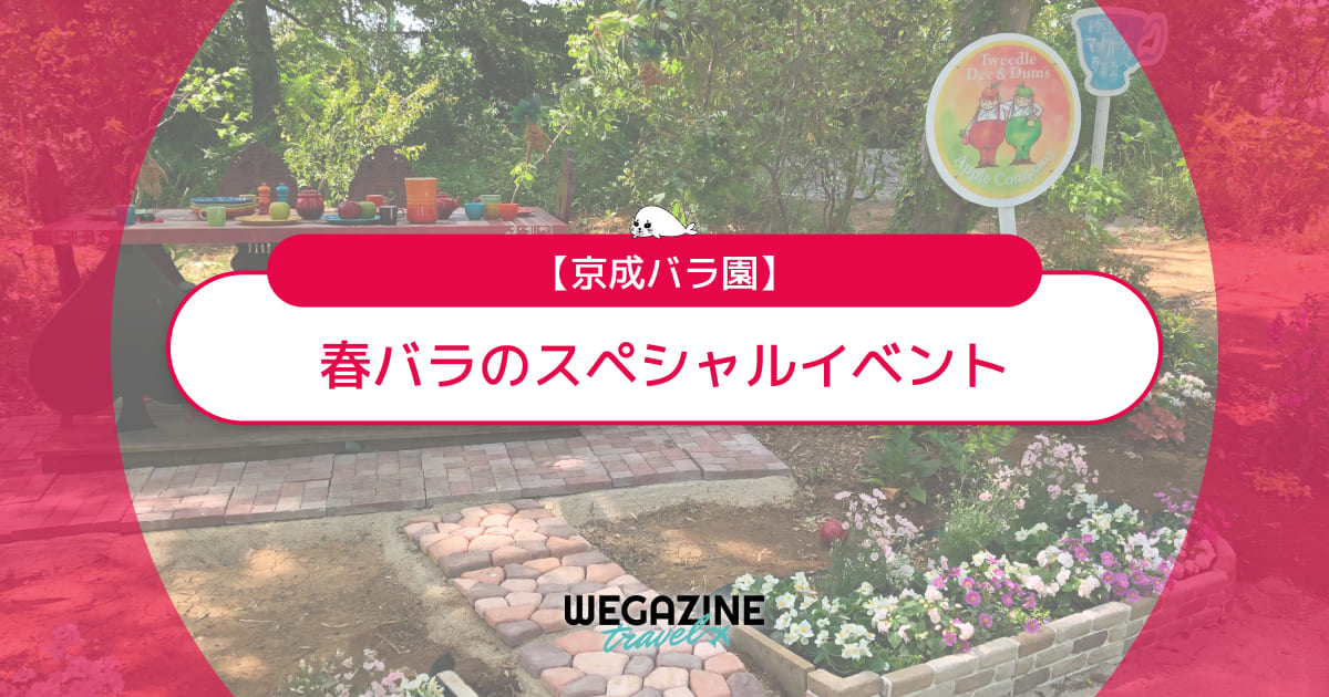 【京成バラ園】春バラのスペシャルイベントを画像付きで紹介<実体験レポート>