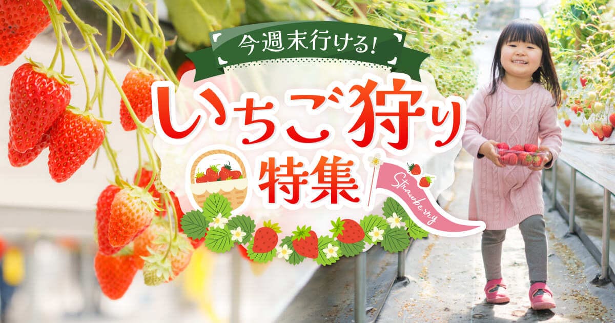 【最大28%割引】いちご狩り特集キャンペーン