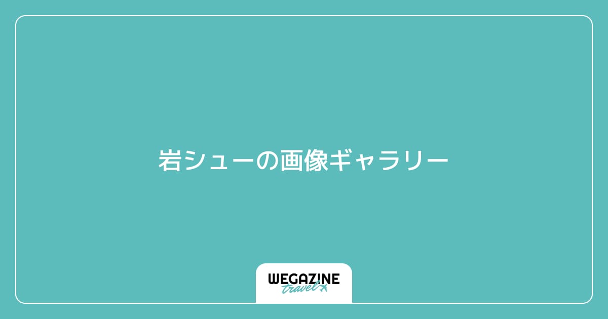 岩シューの画像ギャラリー
