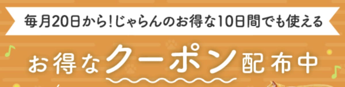 お得な10日間クーポン