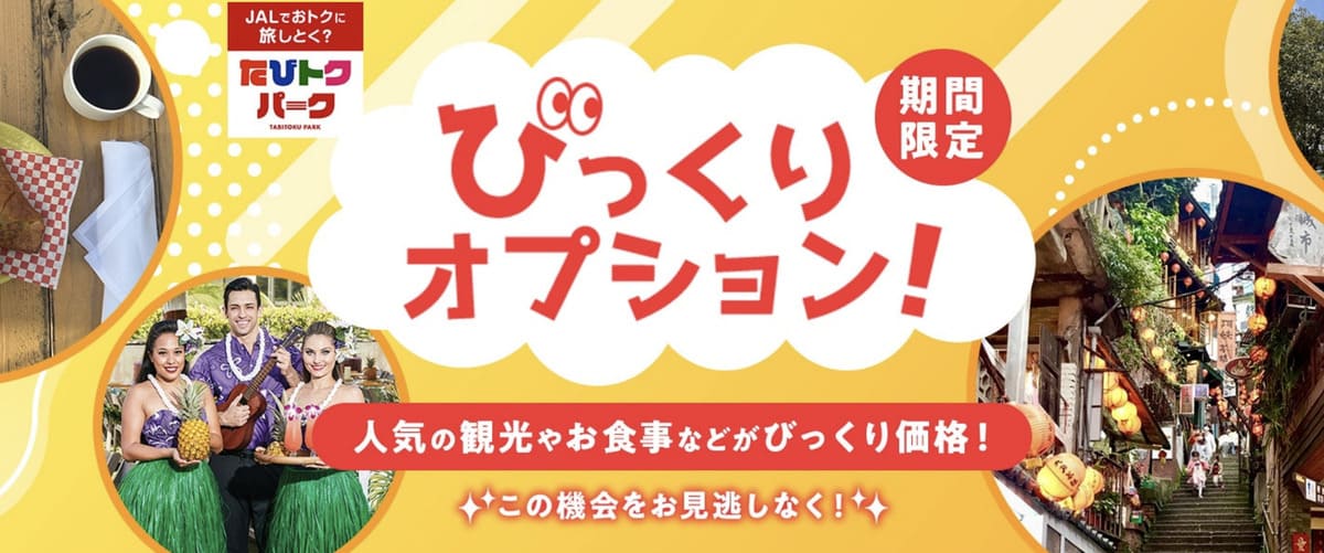 海外びっくりオプション