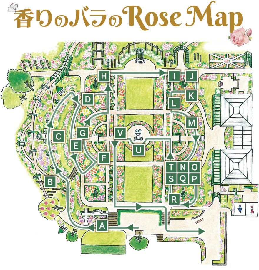 香りのバラのRose Map