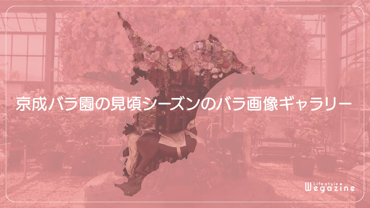 京成バラ園の見頃シーズンのバラ画像ギャラリー