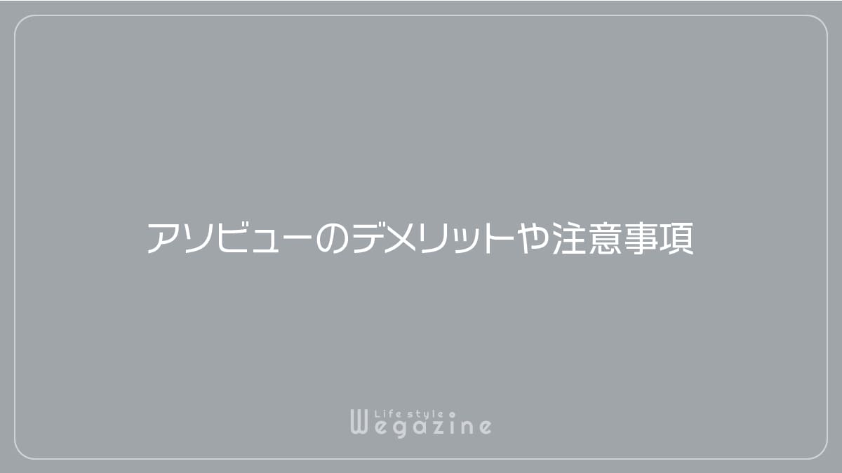 アソビューのデメリットや注意事項