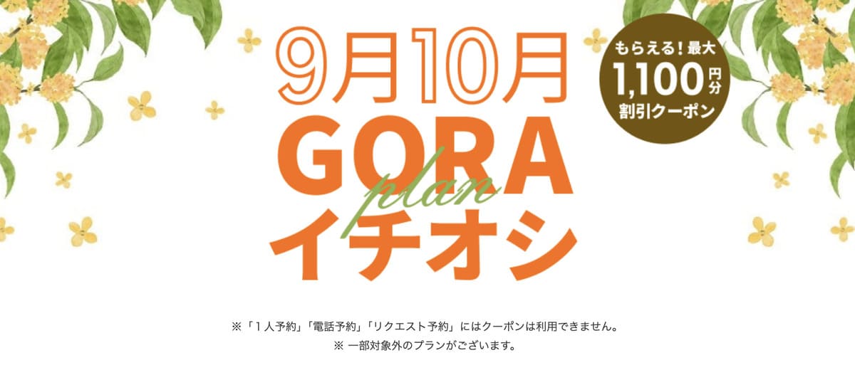 【最大1,100円割引クーポン】GORAイチオシプラン特集