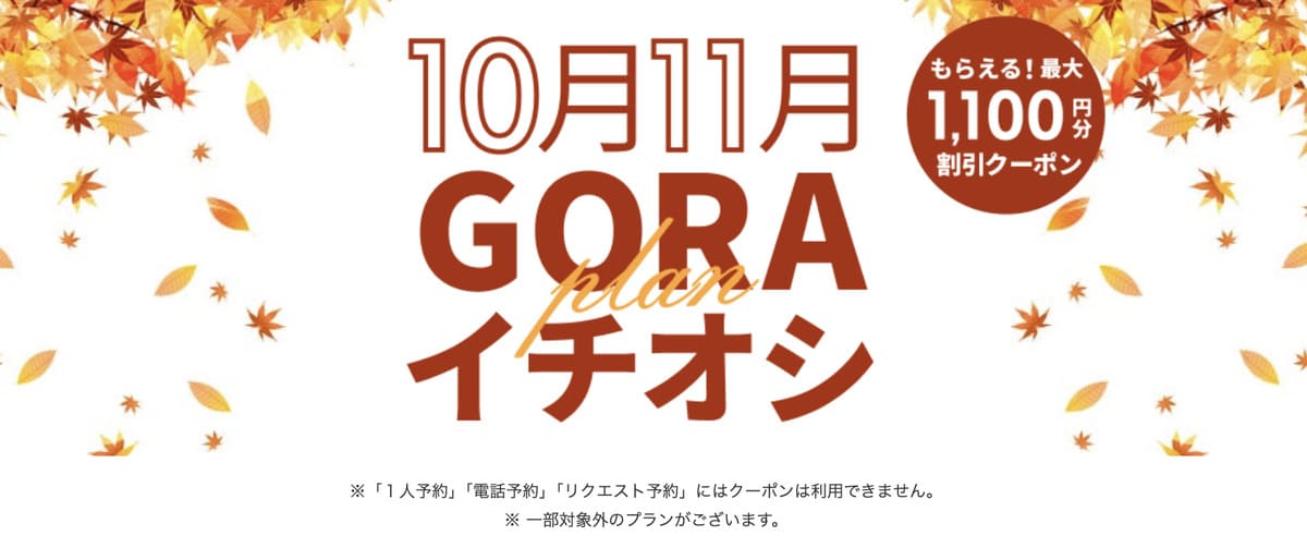 【最大1,100円割引クーポン】GORAイチオシプラン特集