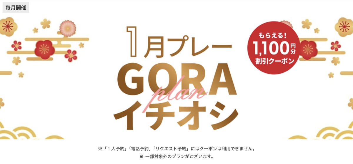 【最大1,100円割引クーポン】GORAイチオシプラン特集